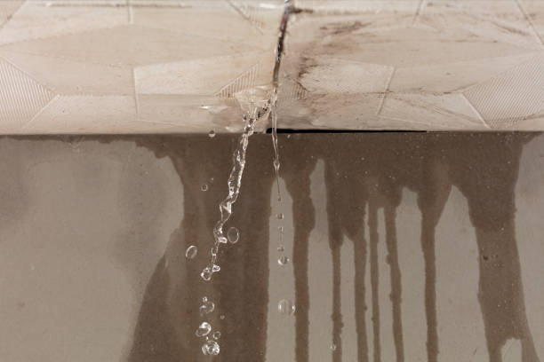 Professional Burst Pipe Cleanup technician working in Milligan College, TN